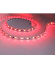 Anakarta Direk Bağlanabilen RGB LED