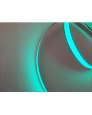 Yeşil Şerit Neon (1 Metre)