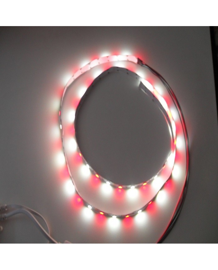 Anakart Bağlantılı RGBW Led