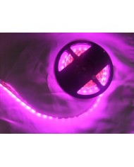 Pembe Şerit Led (60 Led/M - 3 Çipli)