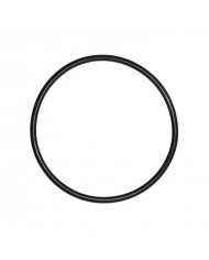 EK-O-ring for DDC Tops (DDC pompalar için O-Ring)